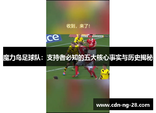 魔力鸟足球队:支持者必知的五大核心事实与历史揭秘 魔力鸟足球队:支持者必知的五大核心事实与历史揭秘